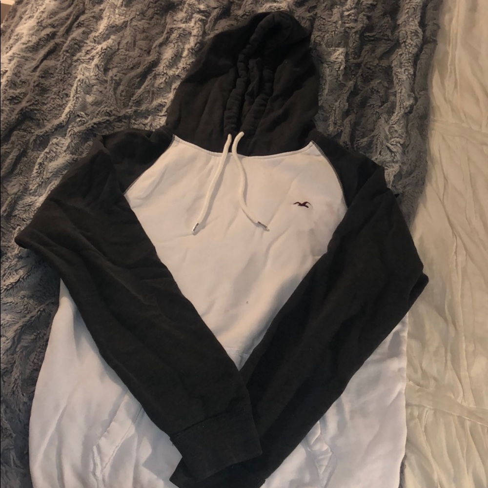 Hollister sweatshirt